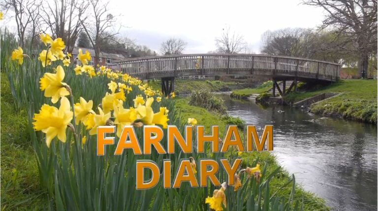 Farnham Diary